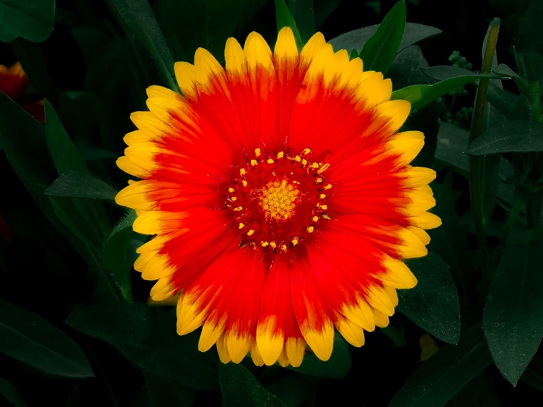 Huawei Unveils Mate 80 Pro