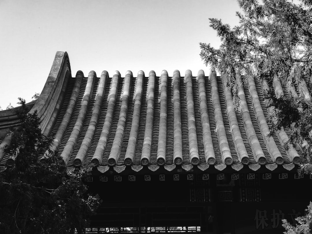 Cisco Leads Wi-Fi 7 Market