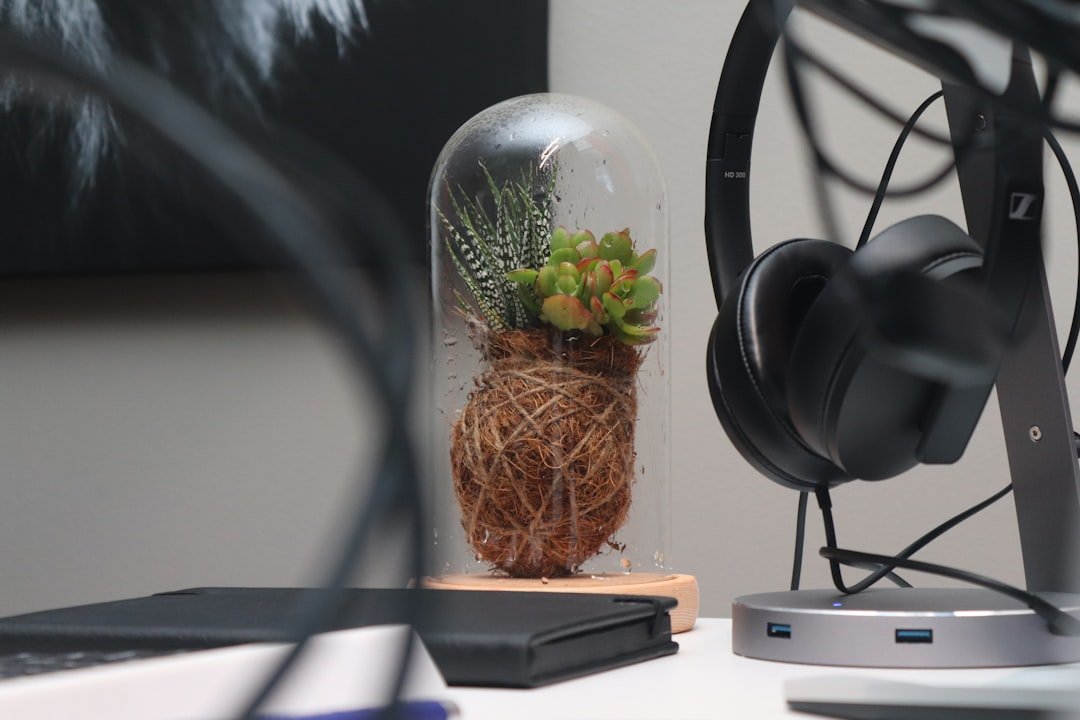 OpenAI Unveils GPT-5.5