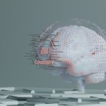 a computer generated image of a human brain