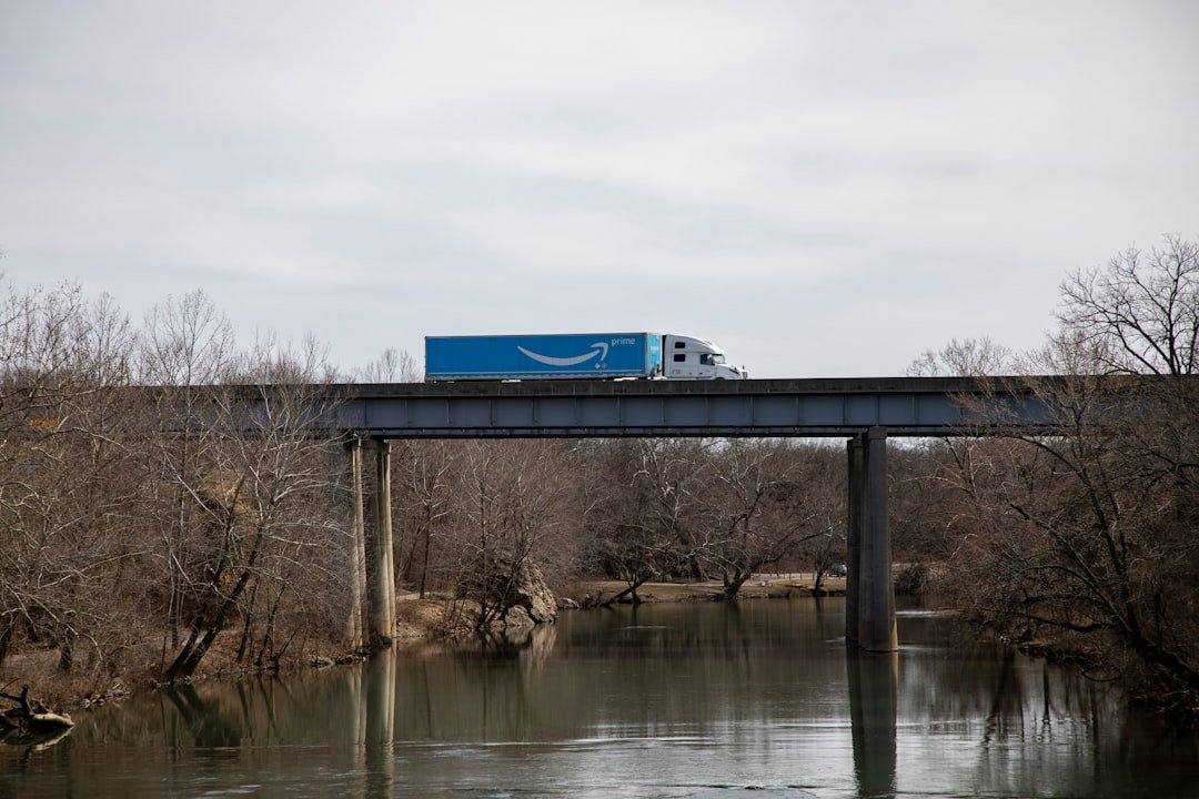 blue and white train on bridge during daytime