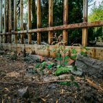 brown wooden fence near green plants during daytime