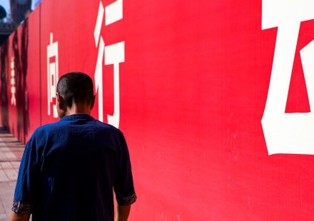 shallow focus photo of person in navy-blue T-shirt