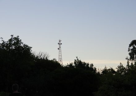 green trees under blue sky during daytime