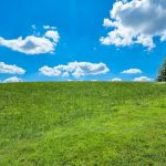 a grassy field under a blue sky with clouds