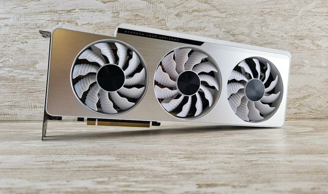 a close up of two fans on a table
