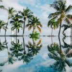 water reflection of coconut palm trees