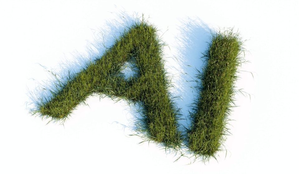 The letters ai made of green grass