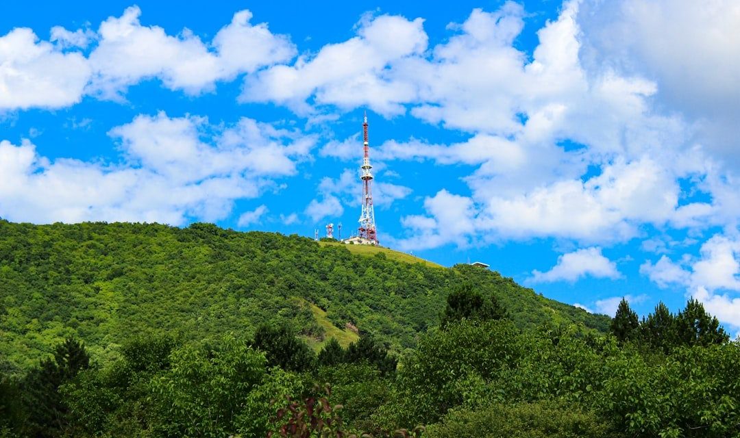 A tall tower stands on a green, tree-covered hill